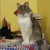 Отзыв от Мария Толкачева